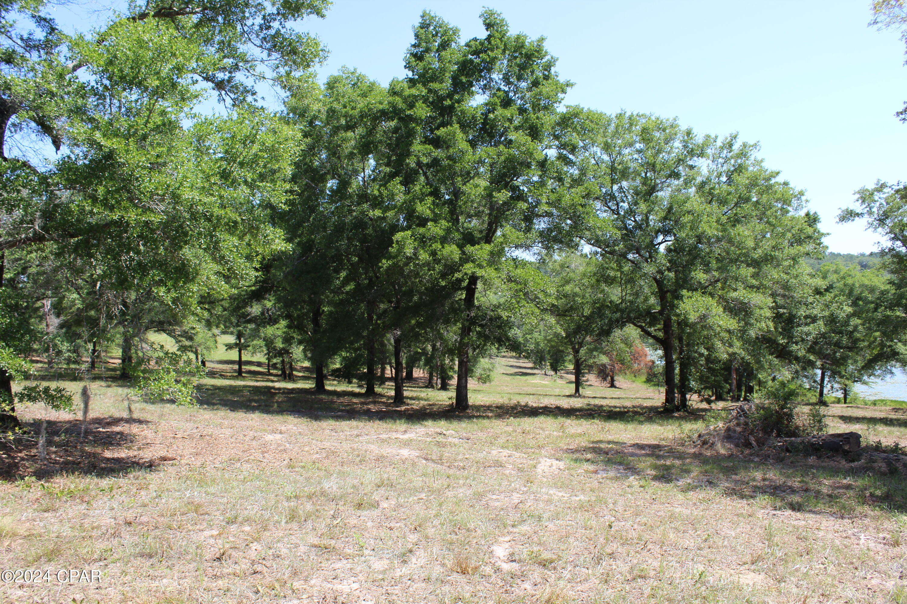 Tbd Twin Pond Road Vernon, FL 32462 - Photo 12 of 42 Gallery Image 12