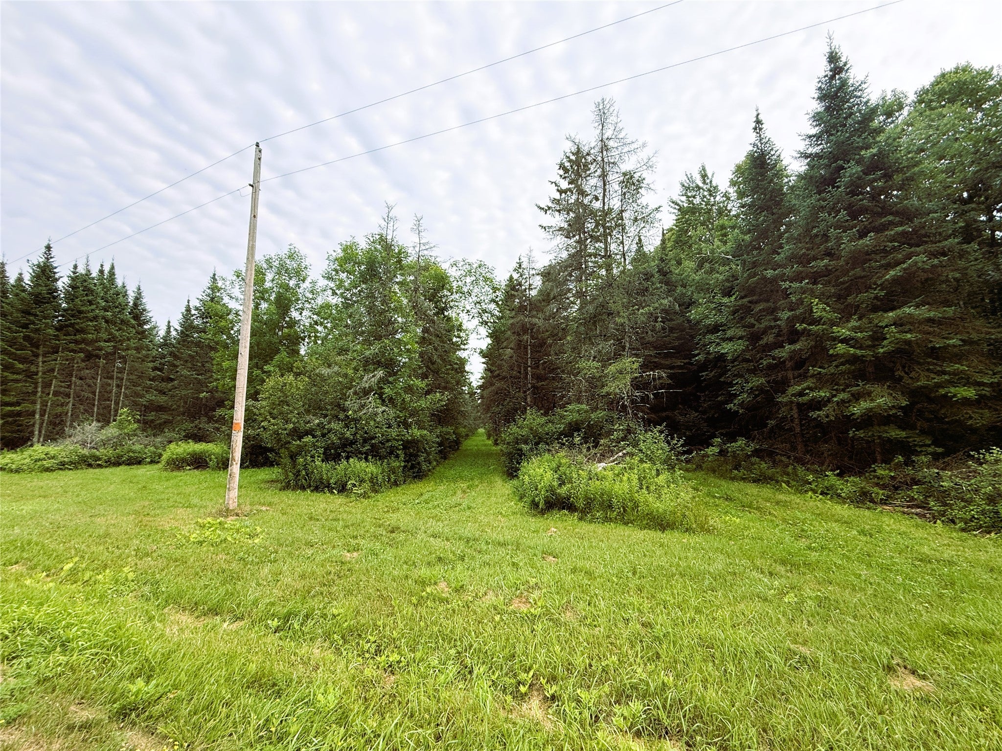 W9603 Ducommun Road Ladysmith, WI 54848 - Photo 44 of 60 Gallery Image 44