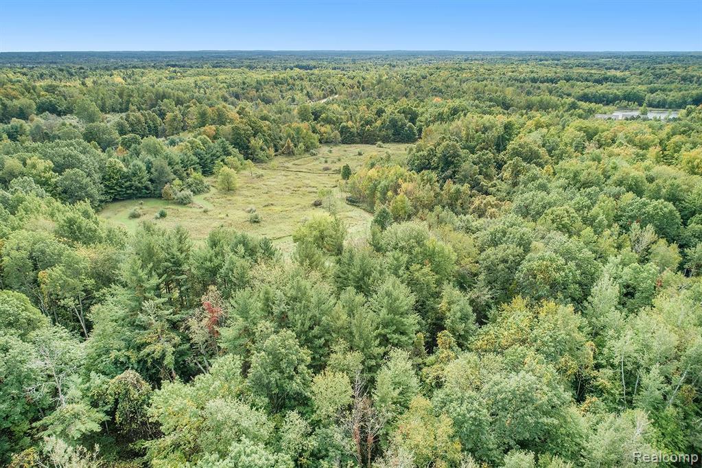 0 Farrand Road Otter Lake, MI 48464 - Photo 18 of 22 Gallery Image 18
