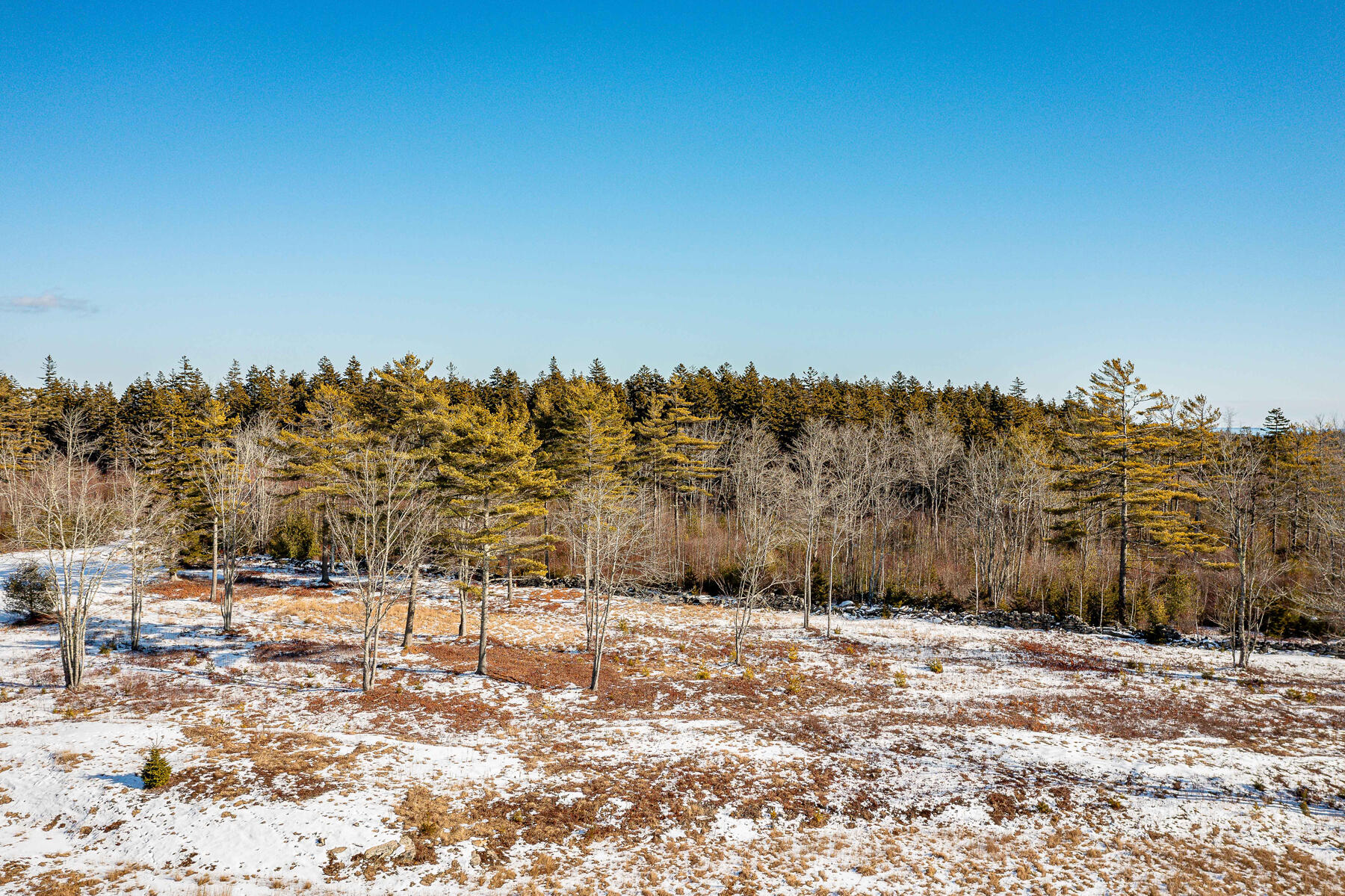 Undisclosed Address St. George, ME 04860 - Photo 14 of 17 Jessies_Way_Land_Aerials_0072_SS_mls