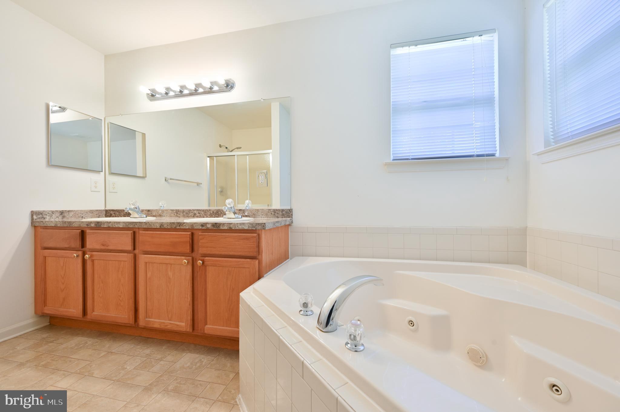 166 Hayes Mill Road Atco, NJ 08004 - Photo 21 of 50 Primary Bath