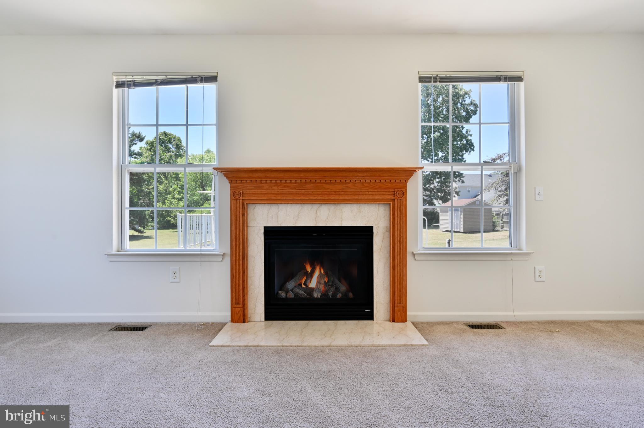 166 Hayes Mill Road Atco, NJ 08004 - Photo 5 of 50 Family Room Gas Fireplace