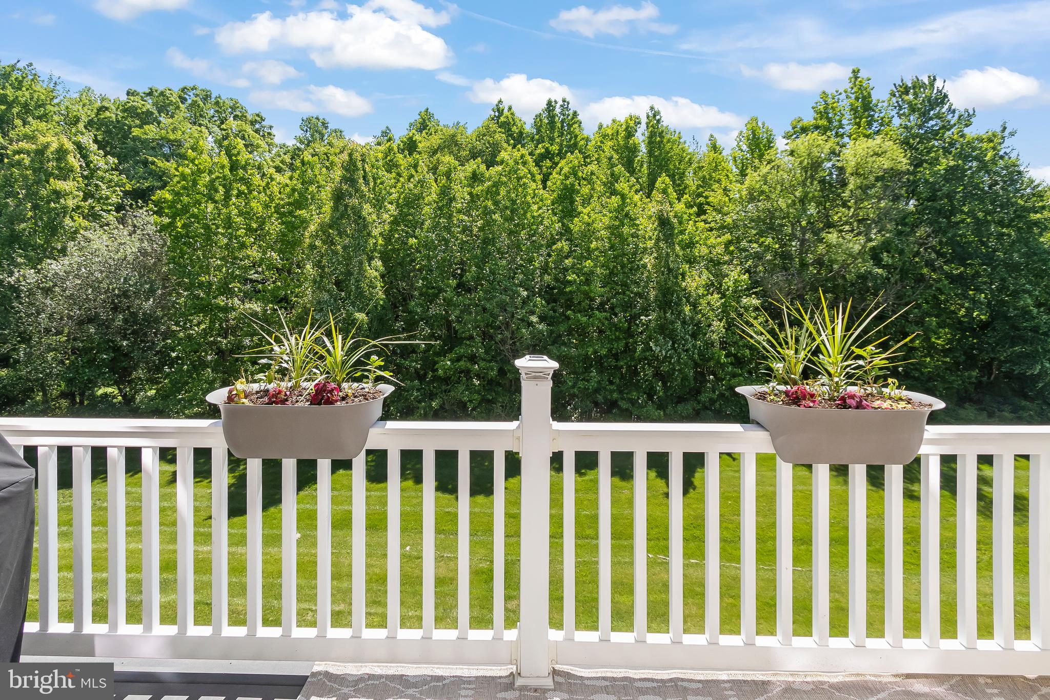 527 Jacobsen Drive Newark, DE 19702 - Photo 27 of 60 Serenity....