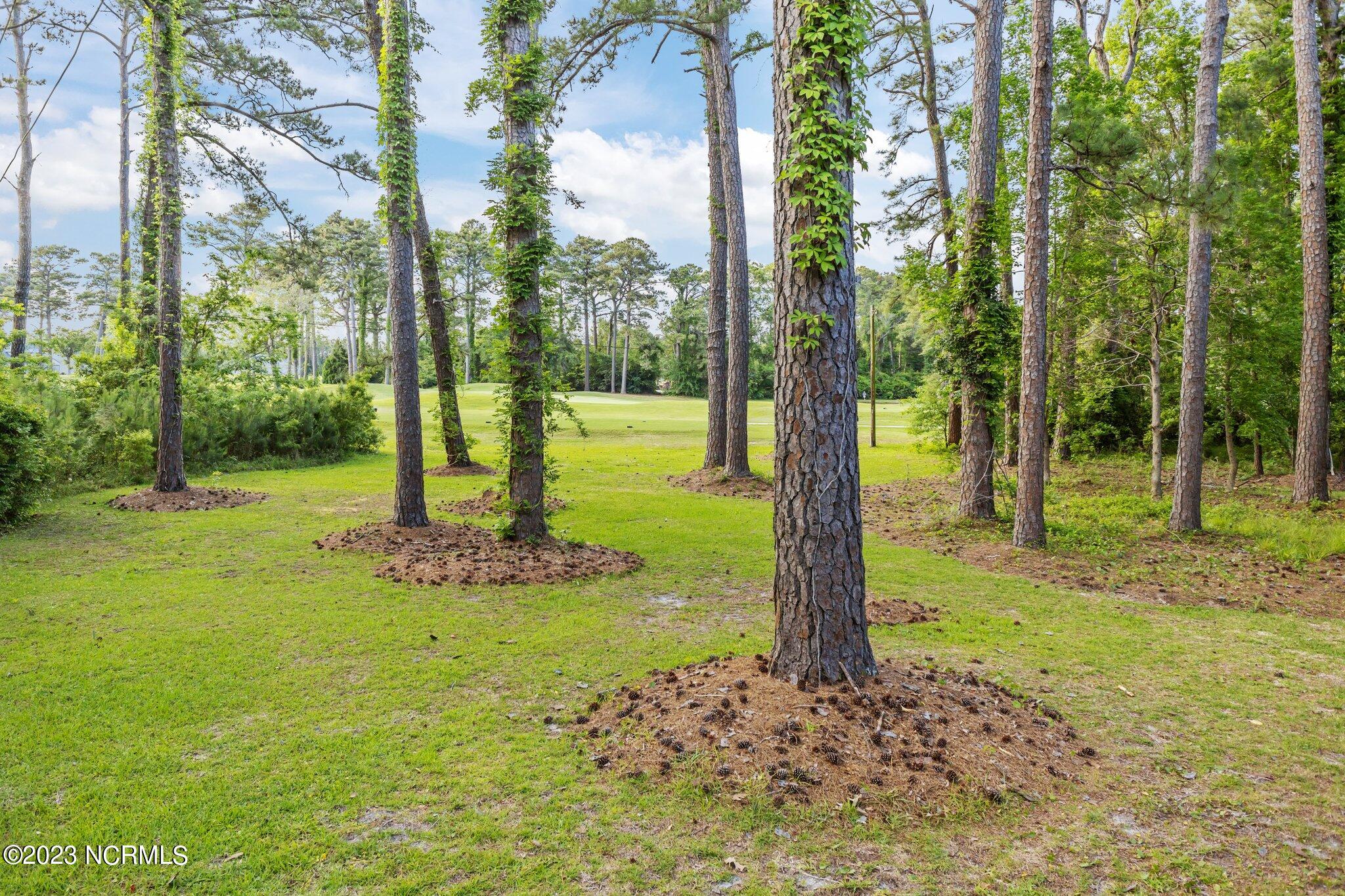 3316 Country Club Road Morehead City, NC 28557 - Photo 12 of 50 12-web-or-mls-_S3A0571