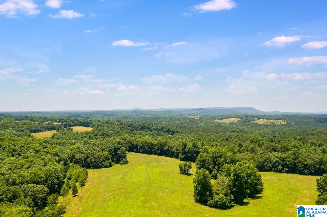 14791 County Road 10, Unit 45 ACRES Ranburne, AL 36273 - Photo 5 of 43