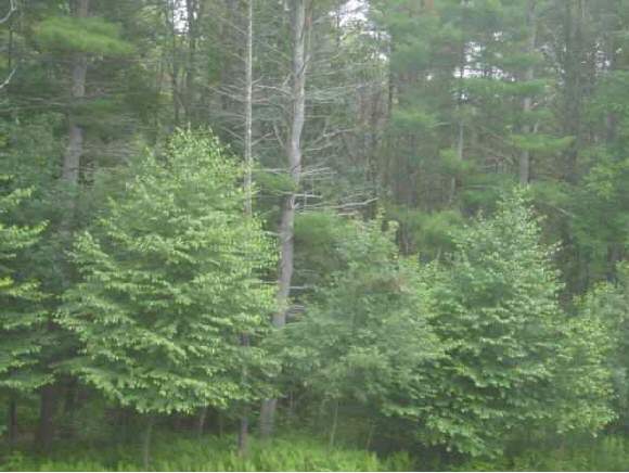 2-8 Jenkins Road Lee, NH 03824 - Photo 1 of 1
