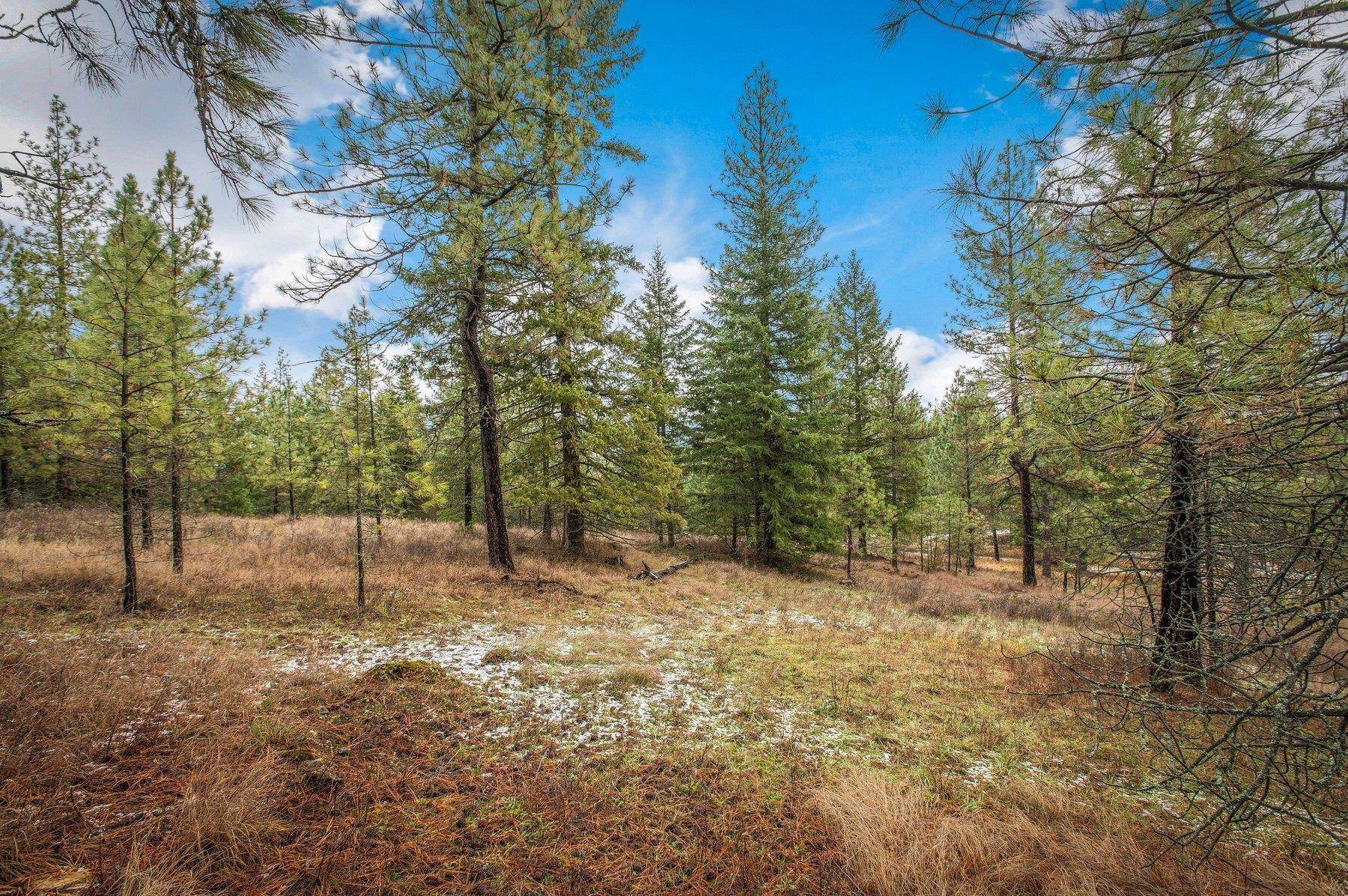 4425 Stonebrook Way Springdale, WA 99173 - Photo 11 of 18