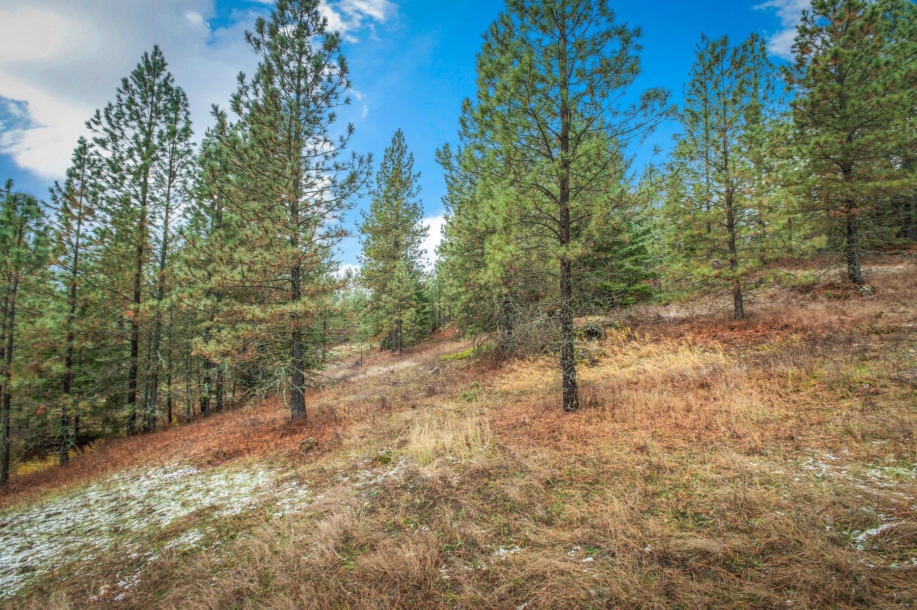 4425 Stonebrook Way Springdale, WA 99173 - Photo 12 of 18