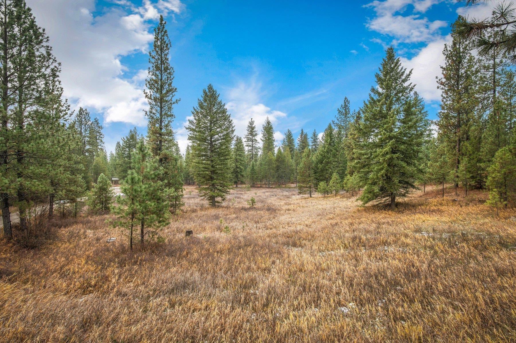 4425 Stonebrook Way Springdale, WA 99173 - Photo 13 of 18