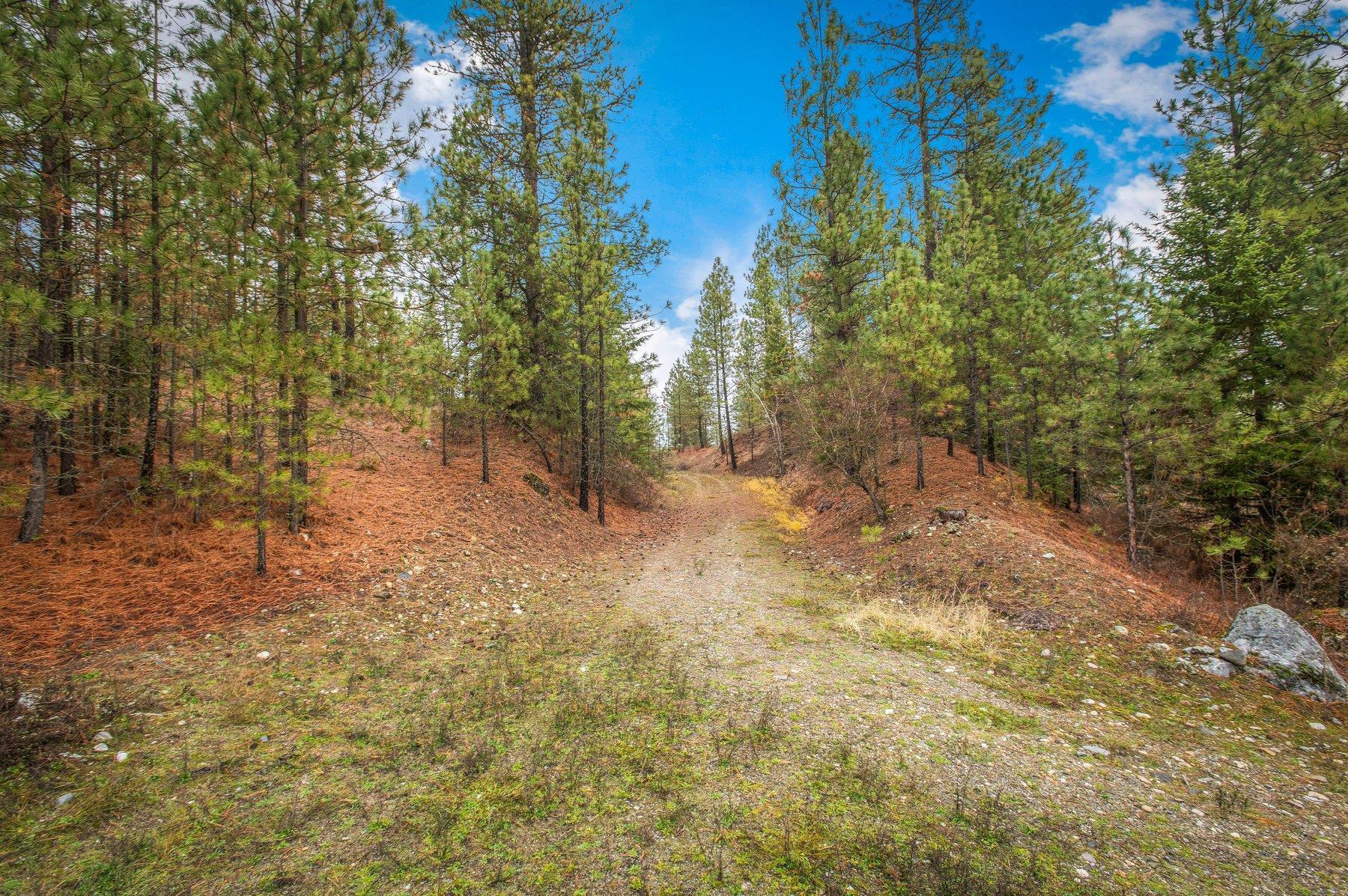 4425 Stonebrook Way Springdale, WA 99173 - Photo 3 of 18