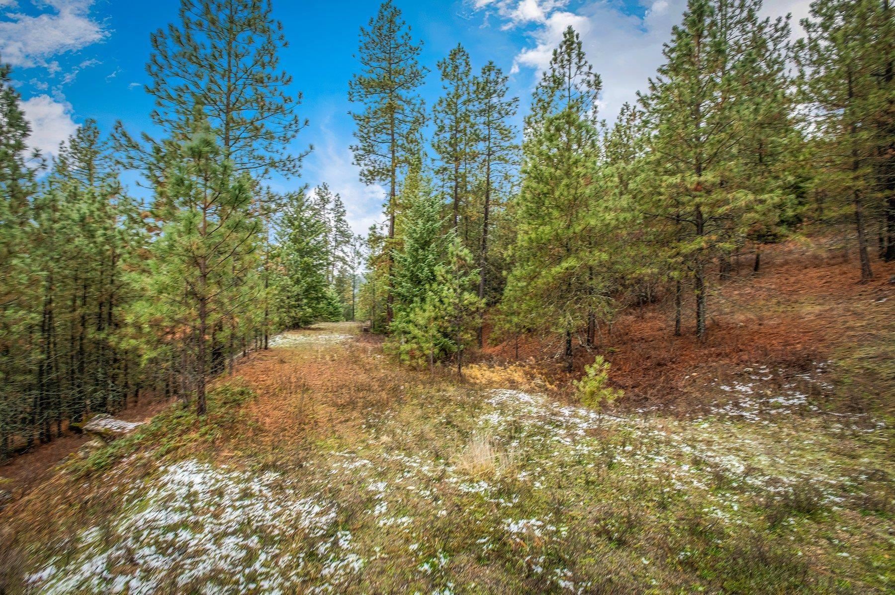 4425 Stonebrook Way Springdale, WA 99173 - Photo 8 of 18