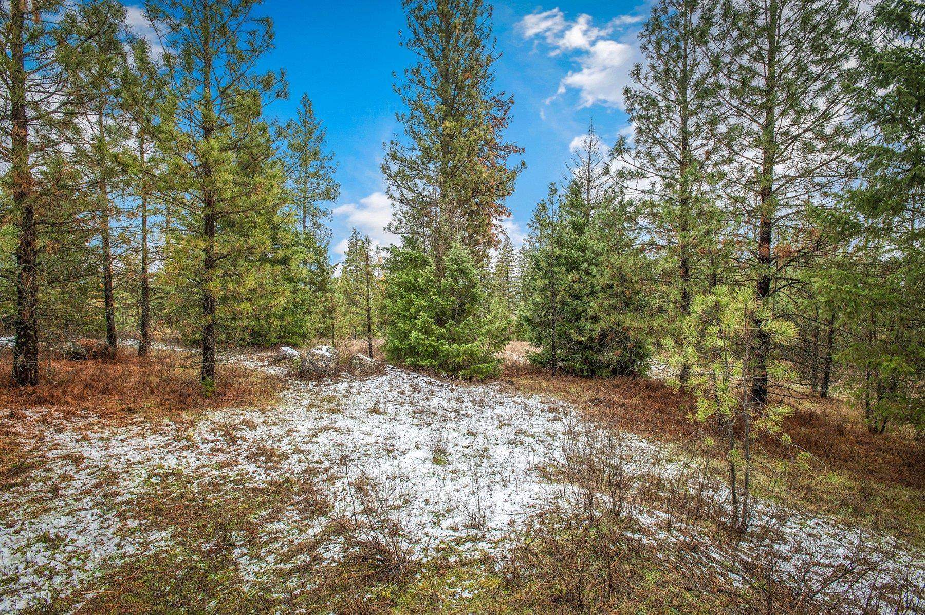 4425 Stonebrook Way Springdale, WA 99173 - Photo 9 of 18