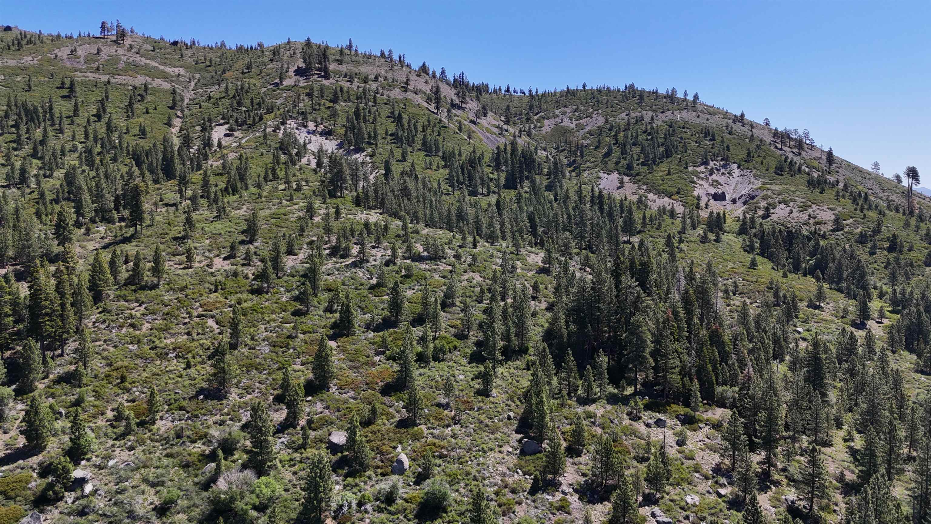 0 No Street Truckee, CA 96161 - Photo 13 of 27 a view of a house with a forest