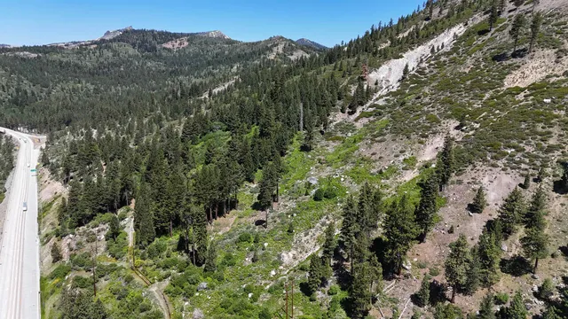 a view of a building with a lush green forest