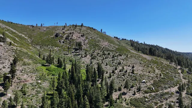 a view of a building