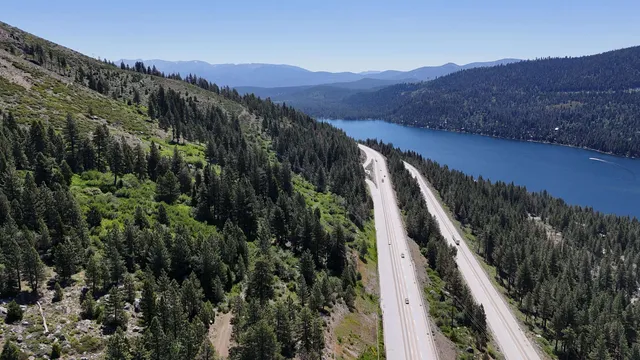 a view of a city with lush green forest