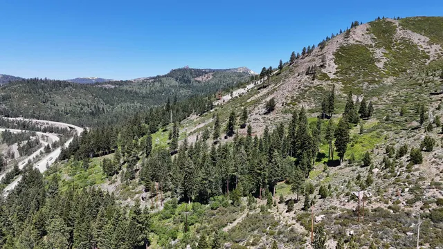 a view of a green field