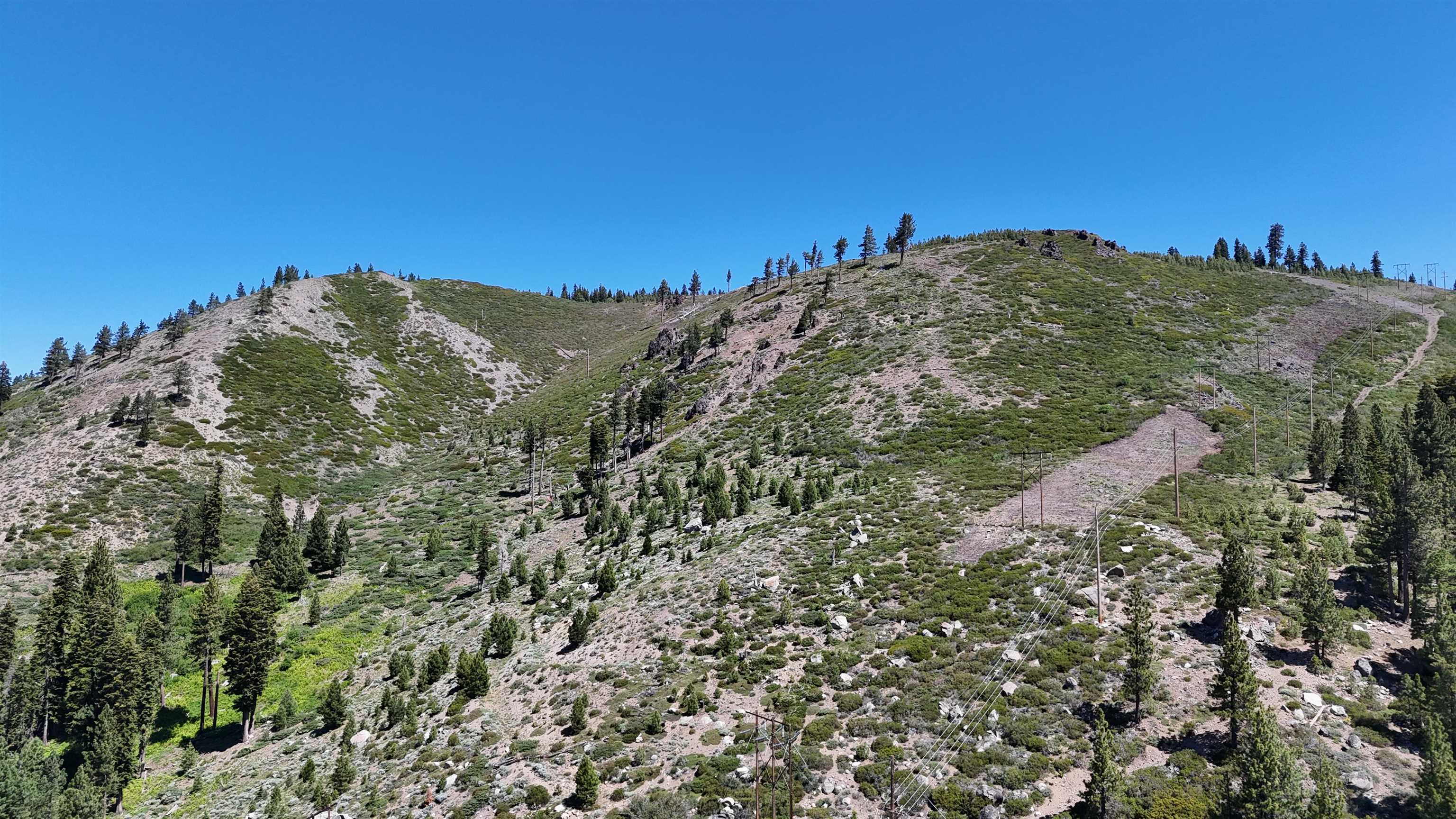 0 No Street Truckee, CA 96161 - Photo 8 of 27 a view of a large mountain with a tree in the background