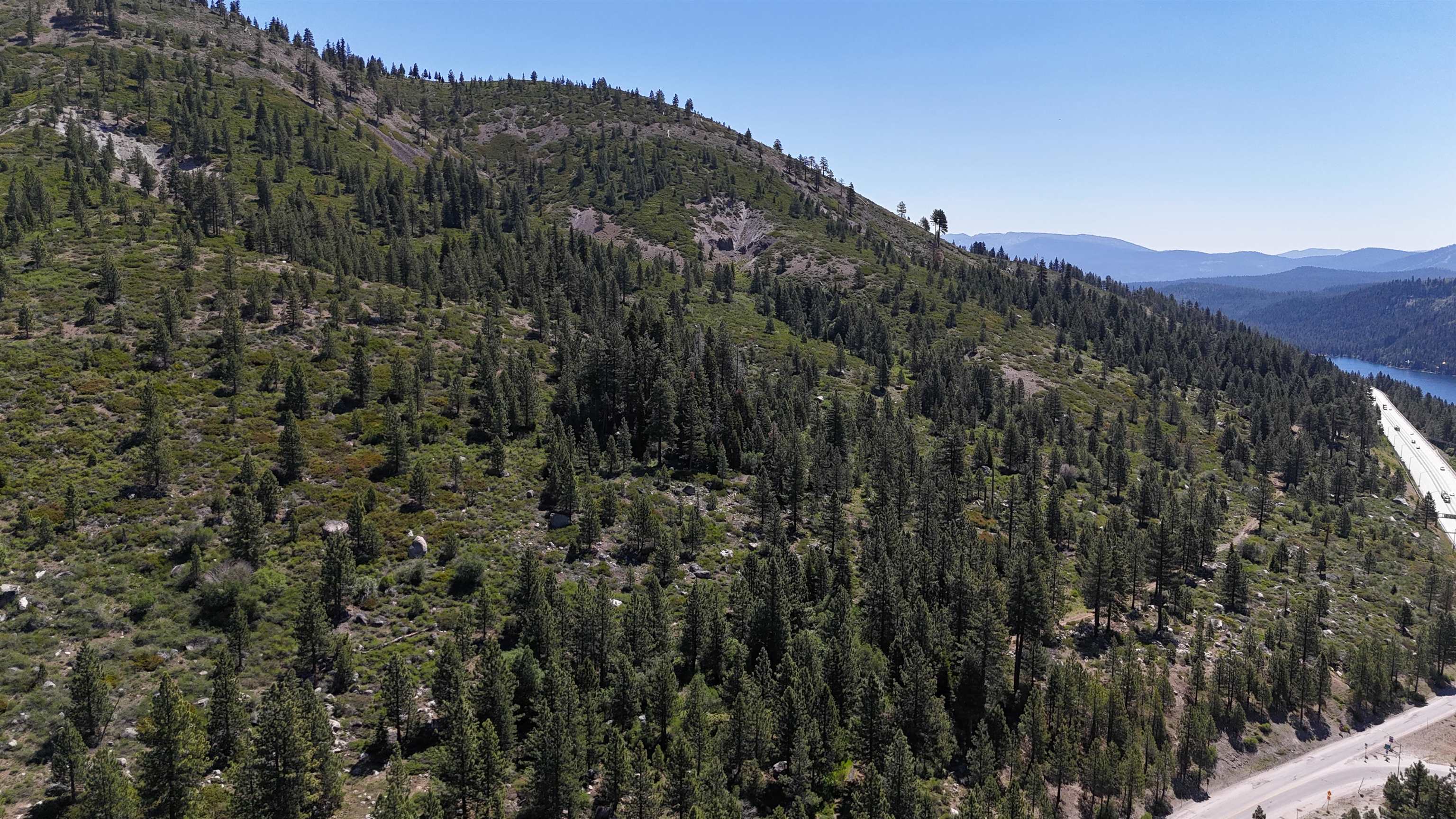 0 No Street Truckee, CA 96161 - Photo 10 of 27 a view of a forest