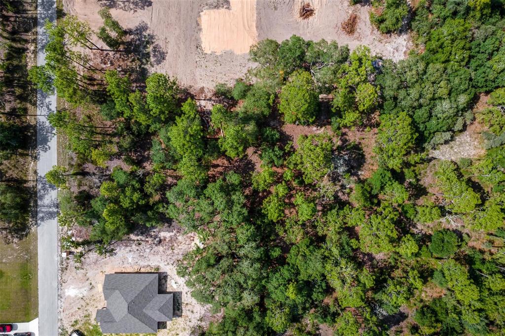 Southwest Viola Court Dunnellon, FL 34431 - Photo 3 of 9
