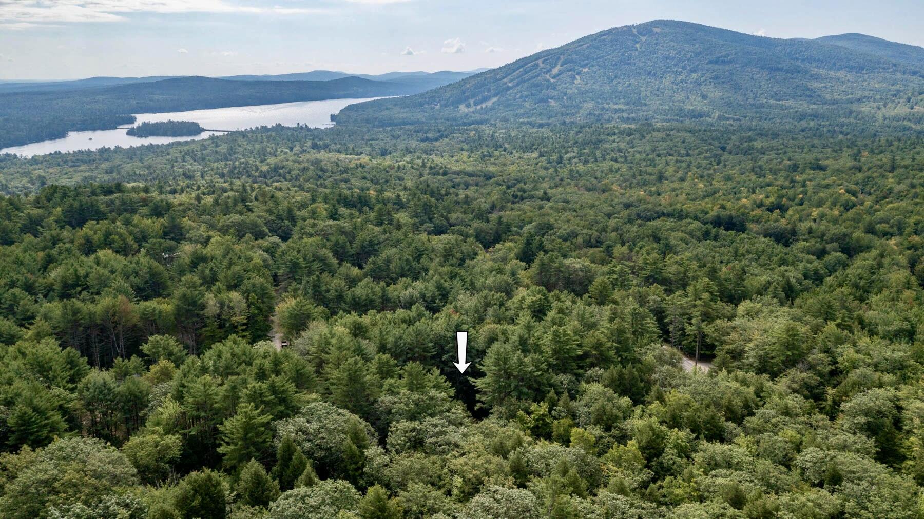 100 Whitetail Ridge Road Bridgton, ME 04009 - Photo 3 of 24 pic-4