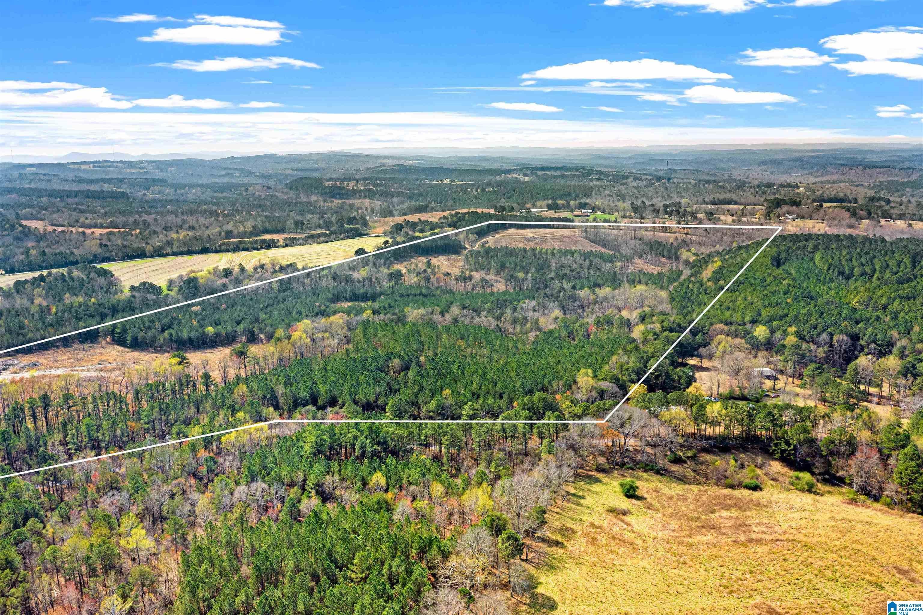0 Frost Road, Unit 100 / ACRES Springville, AL 35146 - Photo 57 of 60