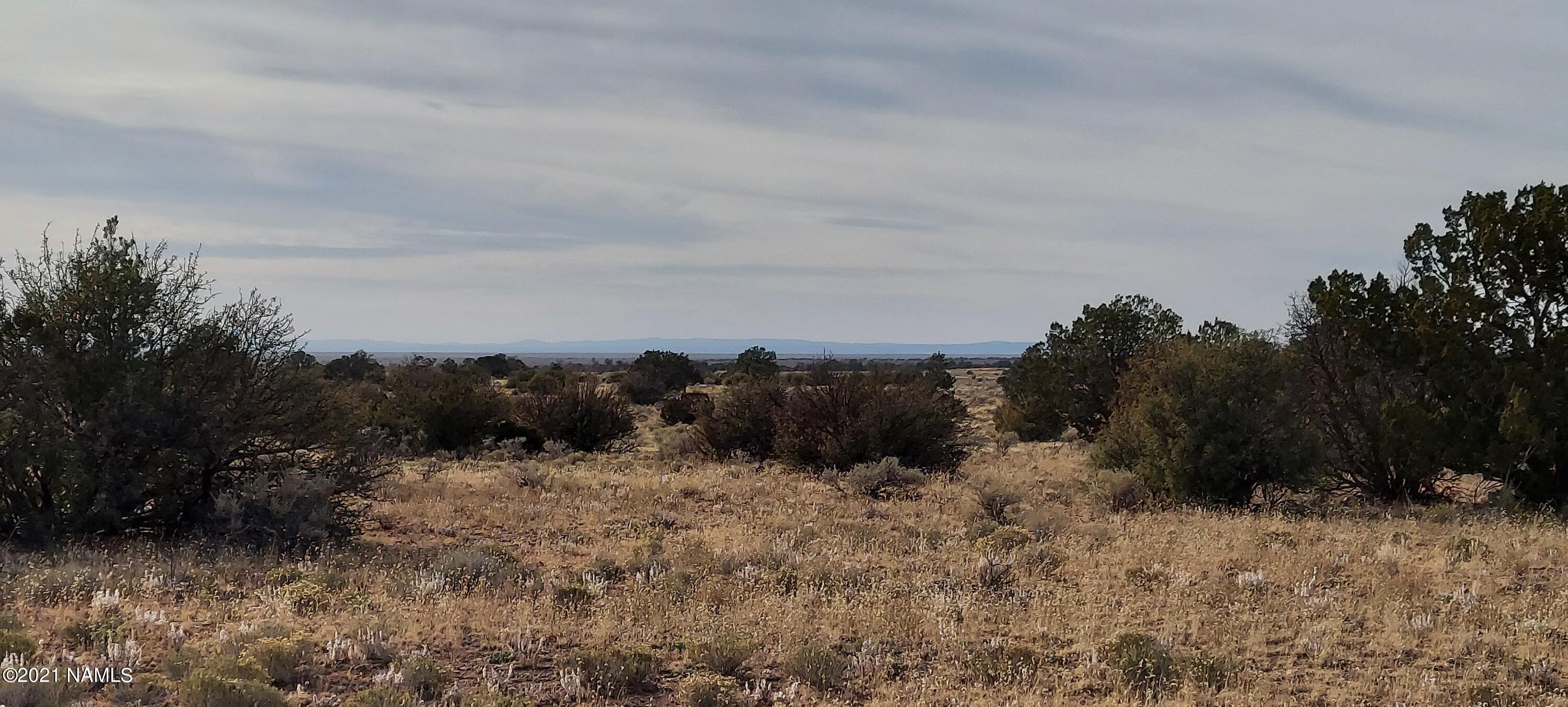 1910 Red Butte Road Williams, AZ 86046 - Photo 5 of 30 20211119_145333