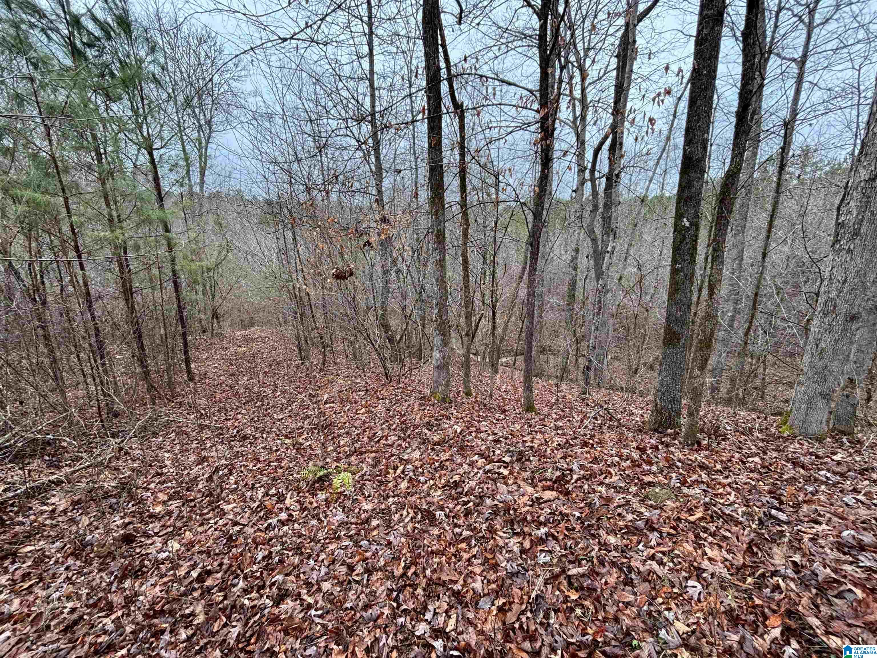 7380 Narrows Road, Unit 148 / ACRES Pinson, AL 35126 - Photo 17 of 22