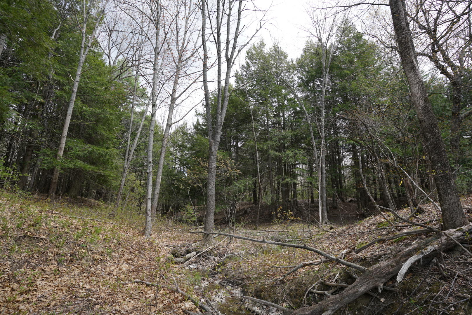 102 Wood Road Gorham, ME 04038 - Photo 20 of 33 DSC02754