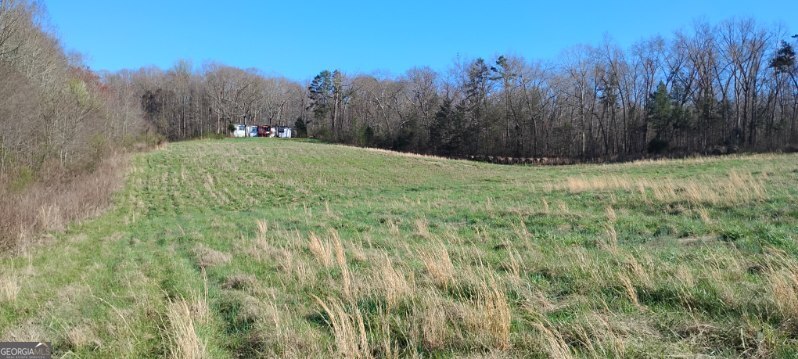 2331 Kesler Road Carnesville, GA 30521 - Photo 7 of 50 a view of a yard with a tree