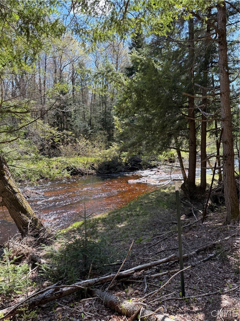 Lot # Meekerville Road Forestport, NY 13338 - Photo 25 of 45