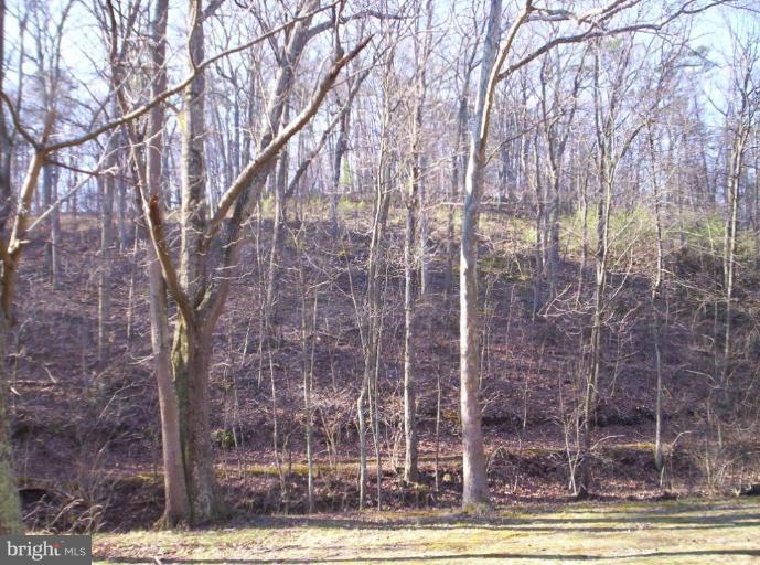 520 Packing Shed Road Berkeley Springs, WV 25411 - Photo 5 of 11 a view of a outdoor space