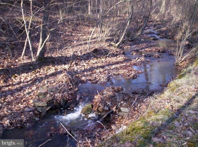 520 Packing Shed Road Berkeley Springs, WV 25411 - Photo 7 of 11 a backyard of a house