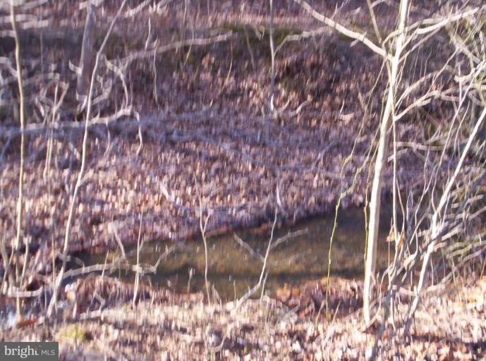 520 Packing Shed Road Berkeley Springs, WV 25411 - Photo 8 of 11 a backyard of a house