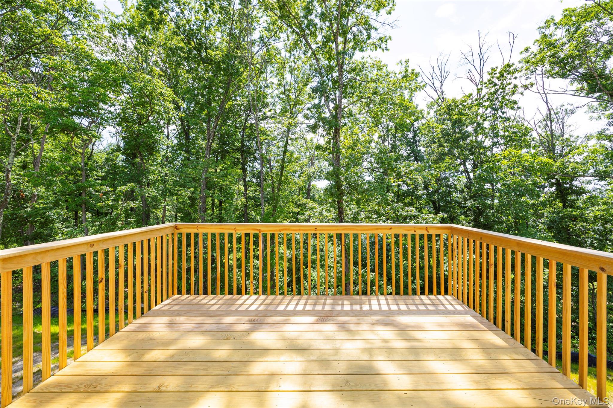 2 Merrywood Road Wappingers Falls, NY 12590 - Photo 13 of 25 PHOTOS ARE FROM AN EMERSON PREVIOUSLY BUILT BY LMD HOMES. SOME ASPECTS OF BUILD MAY VARY FROM PHOTOS.