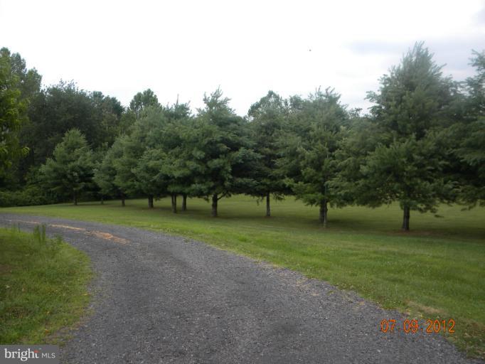 10092 Store Road Culpeper, VA 22701 - Photo 5 of 12 Exterior (General)