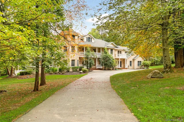 a view of a yard with plants and trees
