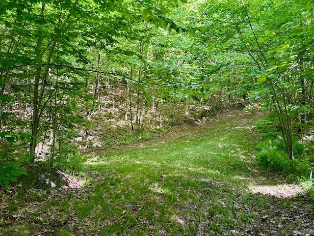 651 Gilbert Street Brookfield, VT 05036 - Photo 20 of 33
