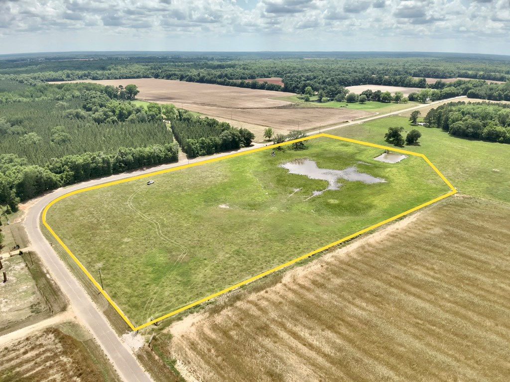 11.05-acres Ramer Loop Cottonwood, AL 36320 - Photo 13 of 17
