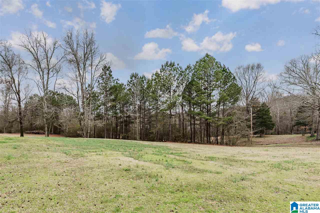 3644 Pineywoods Sipsey Road Jasper, AL 35504 - Photo 36 of 39