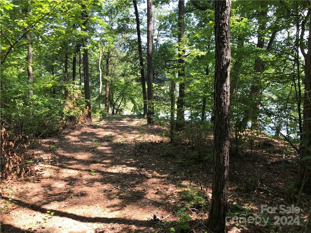 2793 Catawba Road, Unit 24 Great Falls, SC 29055 - Photo 11 of 14