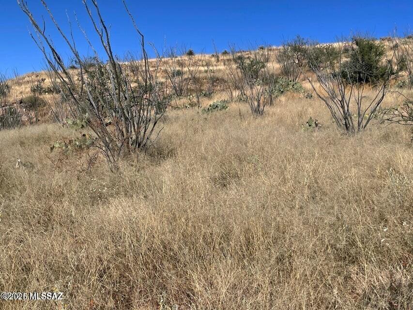 394 Esponja Court, Unit 85 Rio Rico, AZ 85648 - Photo 4 of 10 North view