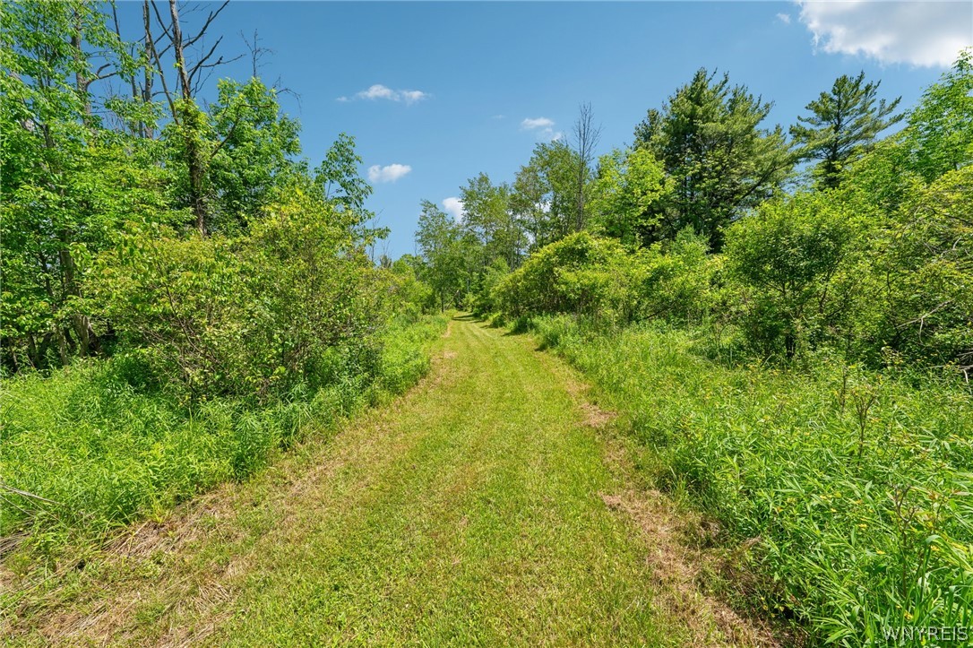 2029 Nesbitt Road Orangeville, NY 14011 - Photo 39 of 50