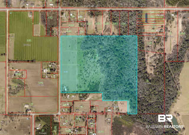 27608 County Road 65 Loxley, AL 36551 - Photo 2 of 32 The property comprises crop land, open pastures & shaded pastures, mixed forest and several potential homesites.