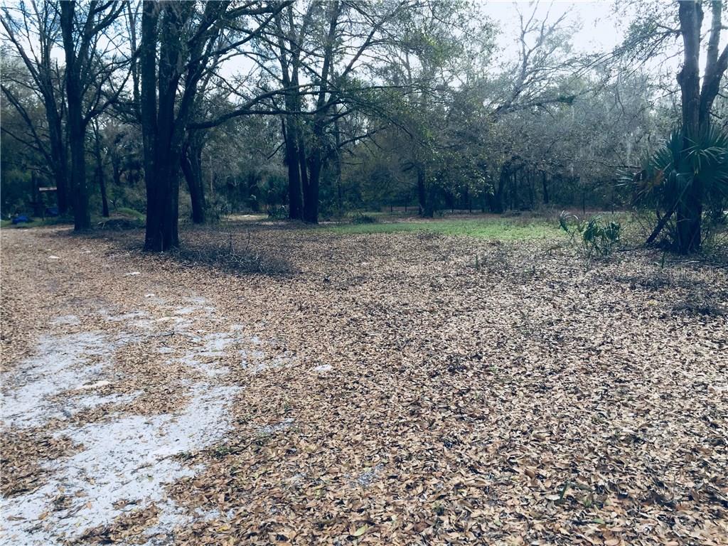 150 South Cochran Road Geneva, FL 32732 - Photo 1 of 1 Entry