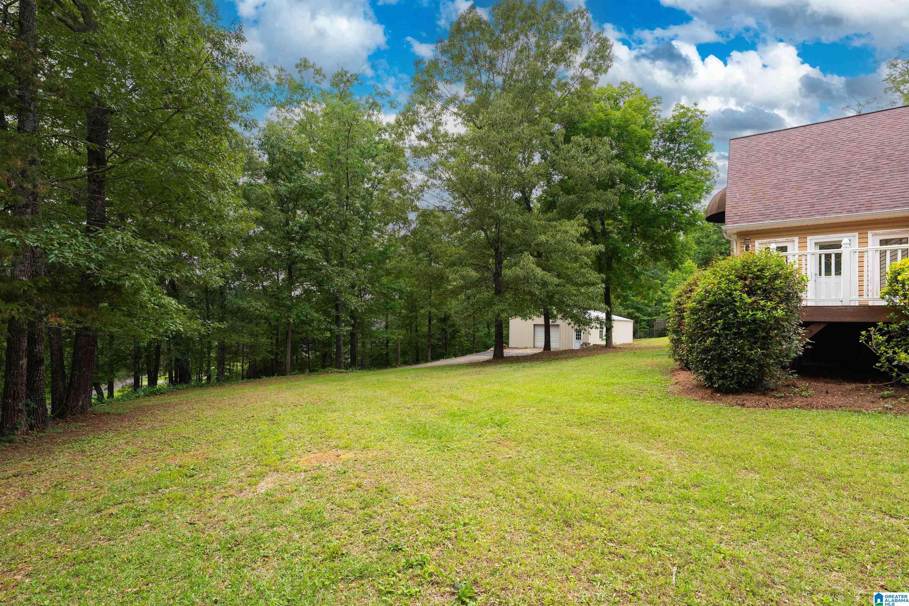 200 Valley View Road Cropwell, AL 35054 - Photo 49 of 57