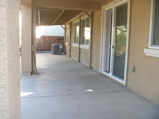 a view of a garden from a window