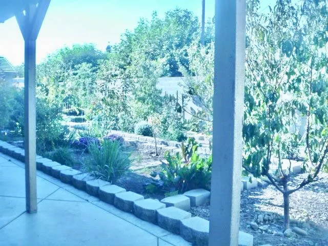 a front view of a house with a yard and a garden