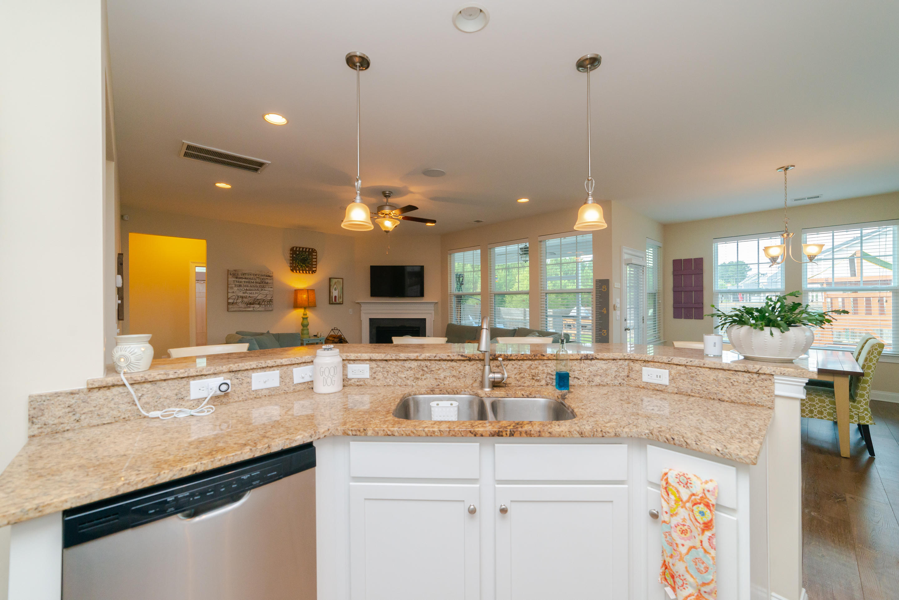 407 Spectrum Road Summerville, SC 29486 - Photo 8 of 46 _JDH6262
