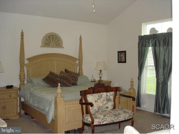 24895 Rivers Edge Road Millsboro, DE 19966 - Photo 10 of 16 Gallery Image 10